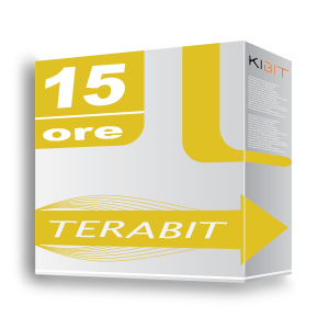 TERABIT